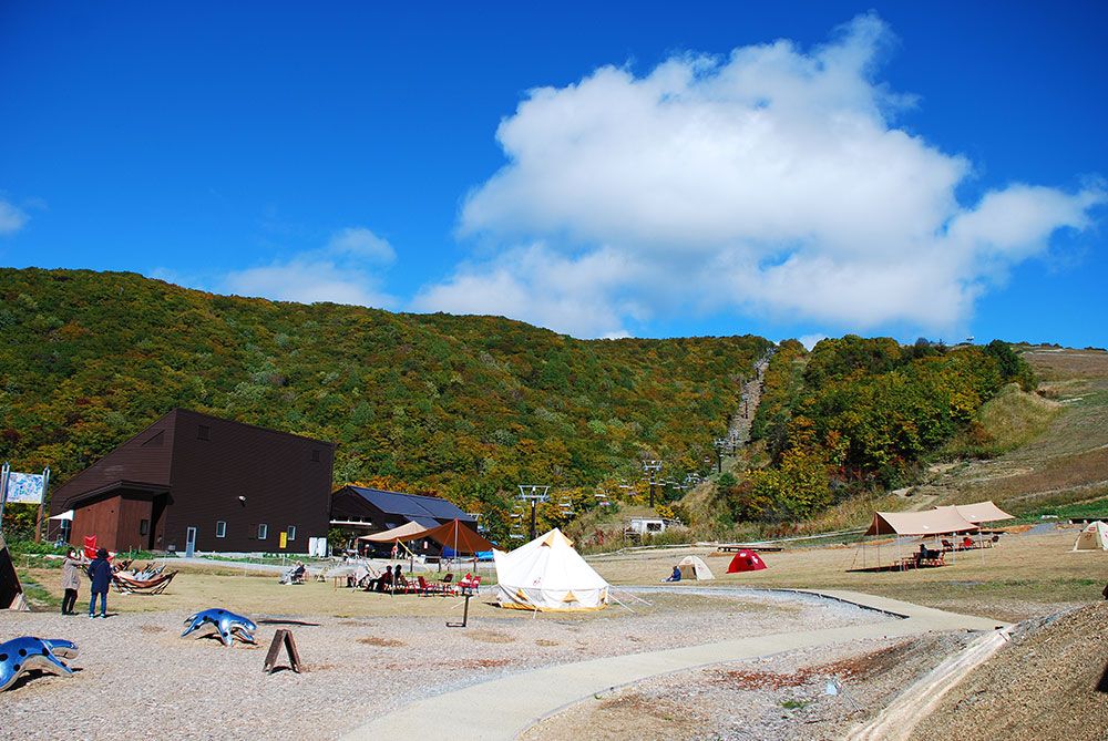 白馬ヒトトキノモリ | 白馬岩岳マウンテンリゾート