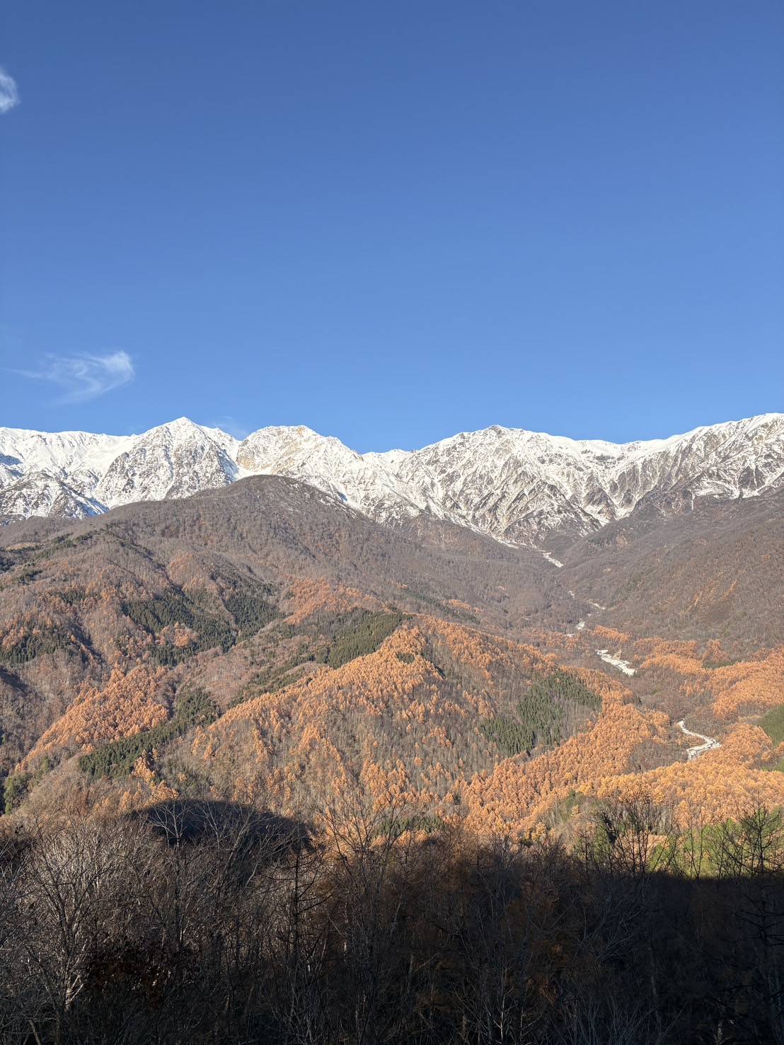 2025年グリーンシーズン営業終了のお知らせ