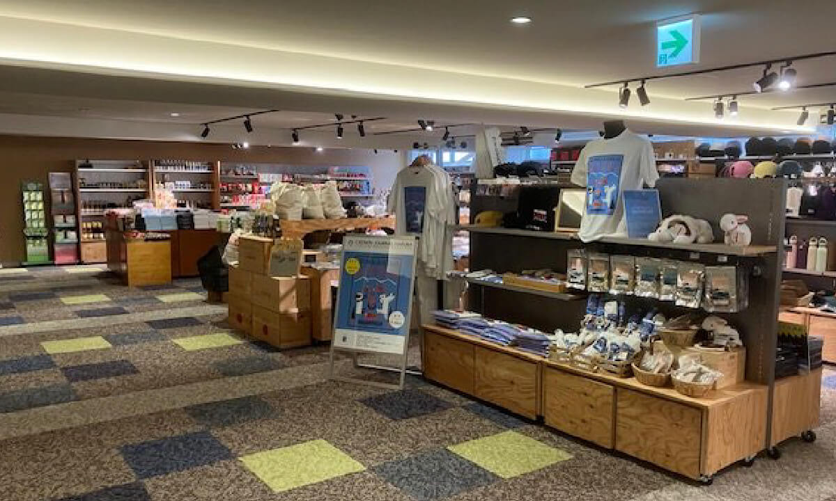 白馬岩岳マウンテンリゾート スカイアーク