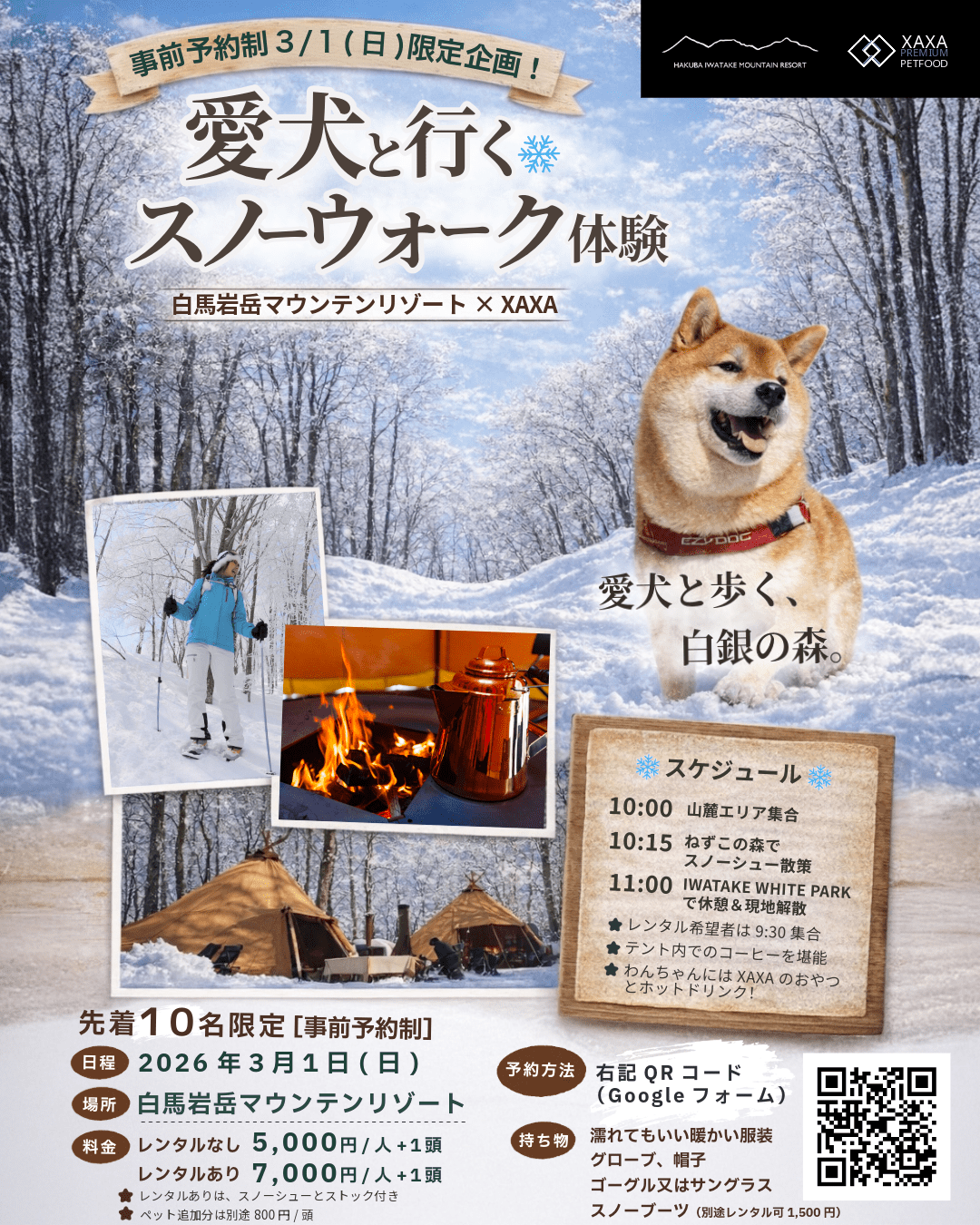 愛犬と行くスノーウォーク体験