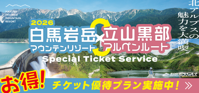 白馬　岩岳エリア　宿泊優待券 白馬岩岳マウンテンリゾート 入場料半額(ゴンドラリフト) 株主優待券3